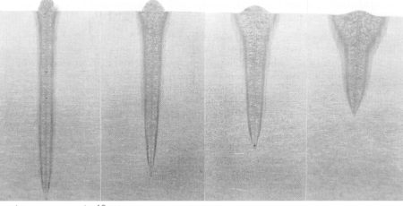 Electron Beam Weld Seams